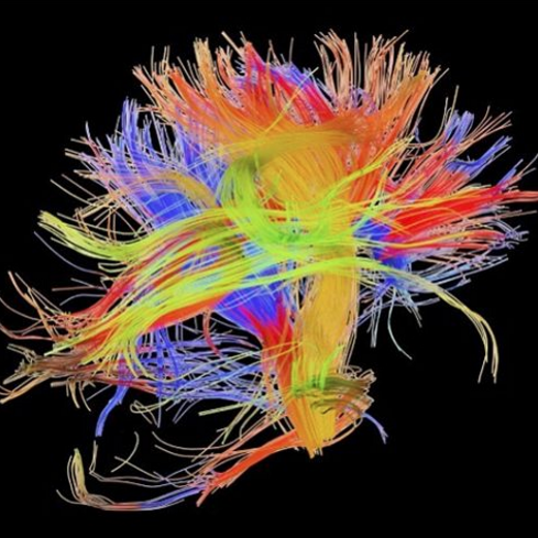 screen-shot-2017-01-19-at-12-43-19-pm